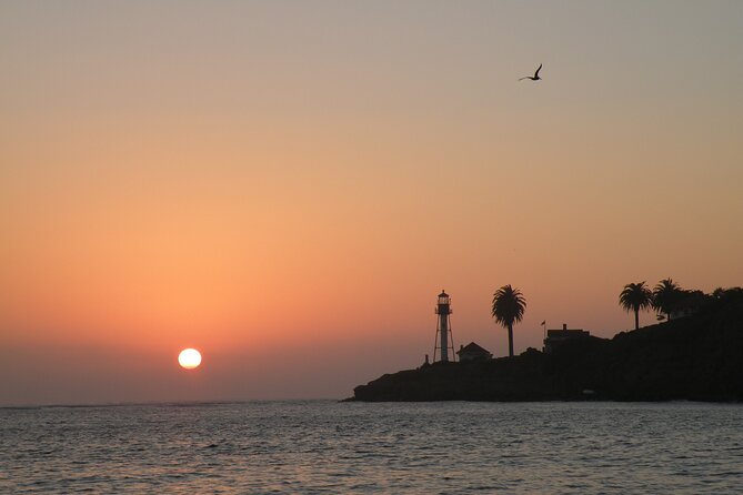 2.5-Hour Small-Group Catamaran Sunset Sail with Drinks - What the captain adds to the evening