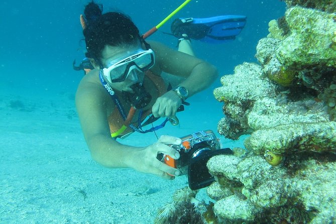 3 ADVENTURES: Sailing Catamaran Cruise - Hooka Diving - Snorkeling - Hooka underwater time near Bávaro’s coral barrier