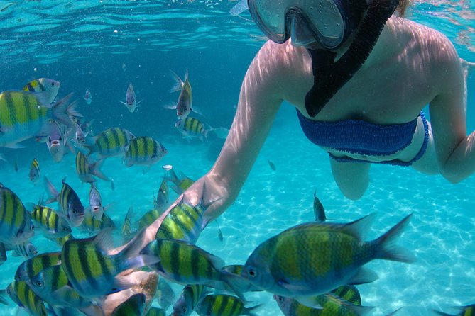 4-Hour Catamaran Sail and Snorkel Tour from Grace Bay - Half Moon Bay or Little Water Cay