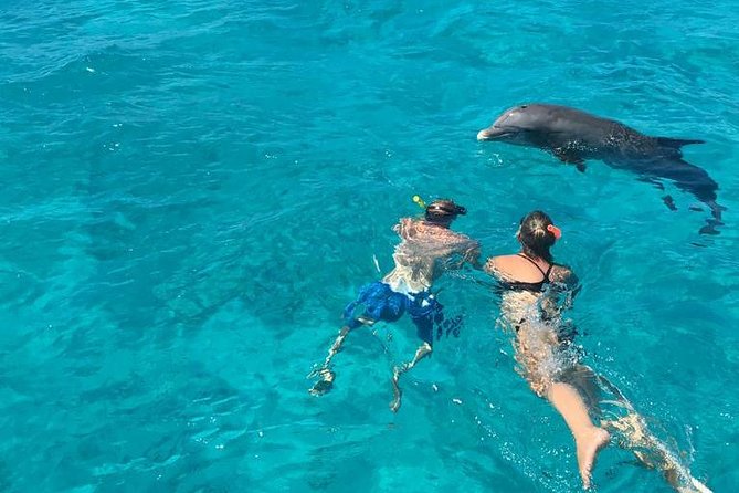 4-Hour Catamaran Sail and Snorkel Tour from Grace Bay - Who will get the most from this tour