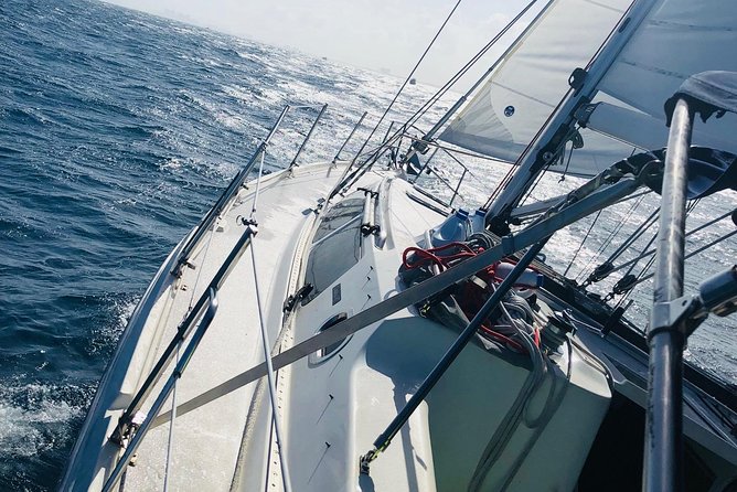 4-Hour Fort Lauderdale Sailing Charter - Sailing offshore and watching for marine life