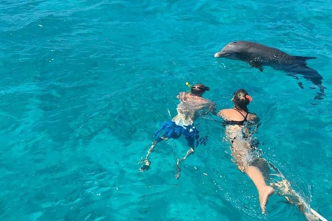 4 Hour Private Catamaran Sail and Snorkel from Grace Bay Beach, Providenciales - Who gets the best value from $2,380