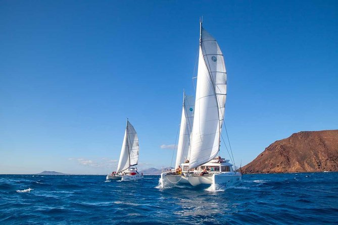 4-Hour Sailing Tour of Lobos Island from Fuerteventura - What the four-hour schedule feels like