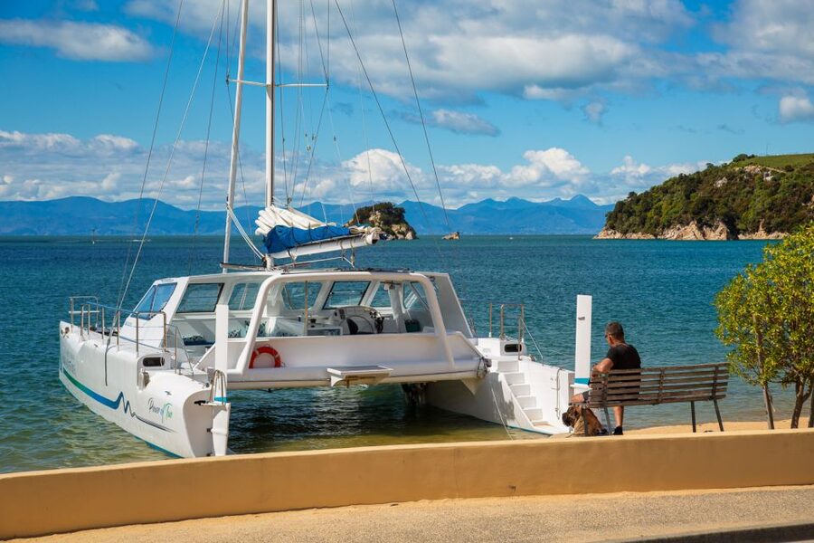 Abel Tasman National Park: Day Sailing Adventure with Lunch - Who will enjoy this Abel Tasman sailing trip?