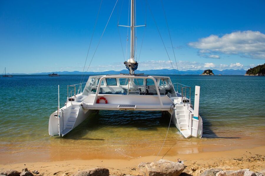 Abel Tasman National Park: Sailing and Self-Guided Walk - Split Apple Rock and New Zealand fur seals