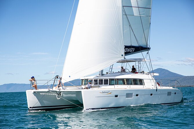 Afternoon Low Isles Snorkelling & Sunset Sail from Port Douglas - Glass-bottom viewing for a gentler reef look