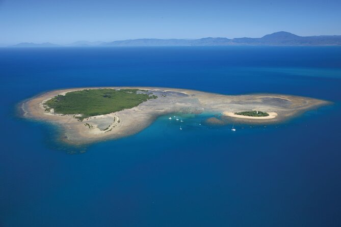 Afternoon Low Isles Snorkelling & Sunset Sail from Port Douglas - Is $243.86 good value?