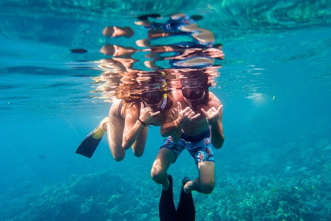 Afternoon Sail & Snorkel to the Captain Cook Monument - Should You Book the Sea Paradise Afternoon Sail?