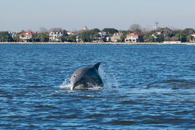 Afternoon Schooner Sightseeing Dolphin Cruise on Charleston Harbor - A quiet harbor cruise, not a narrated tour