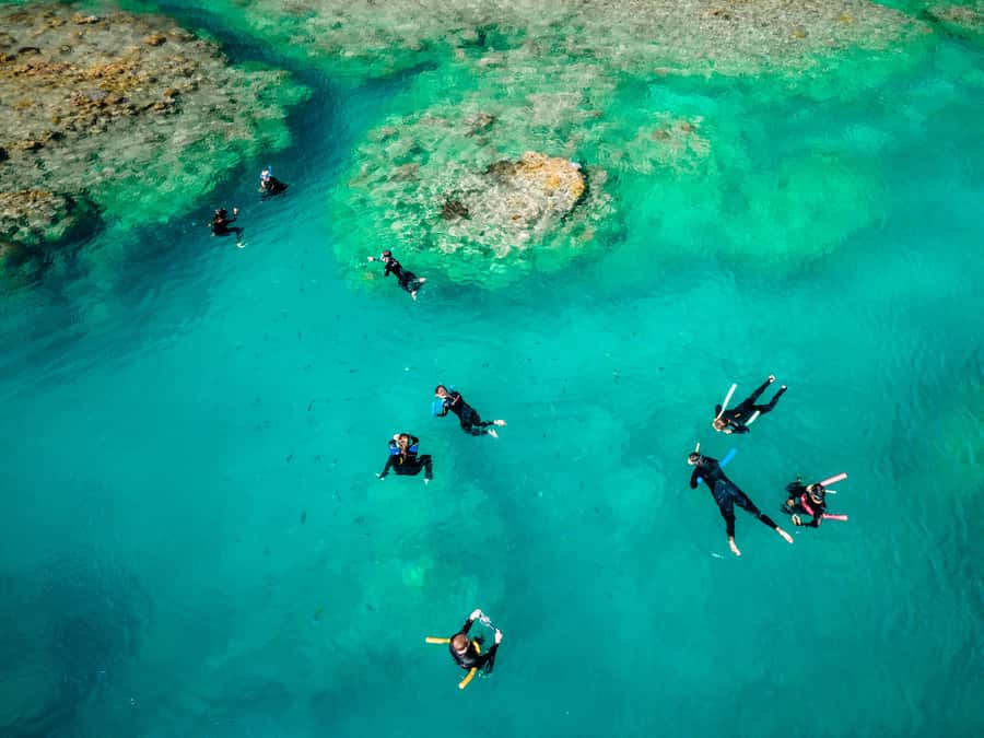 Airlie Beach: Whitsunday Islands 2-Day Sailing Tour - Two reef stops with time in the water