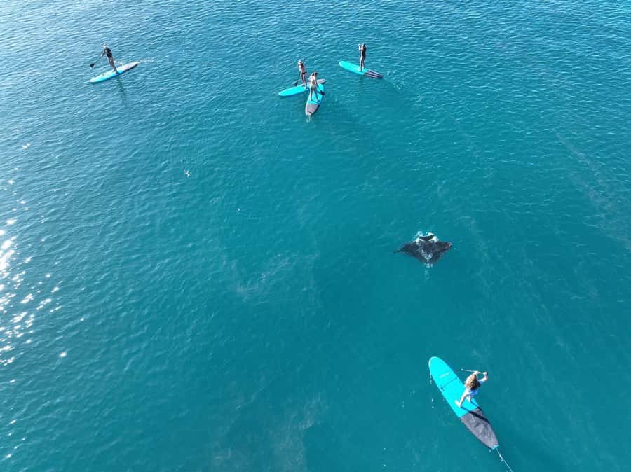 Airlie Beach: Whitsunday Islands Sailing, SUP & Snorkel Tour - Snorkeling near Hook Island