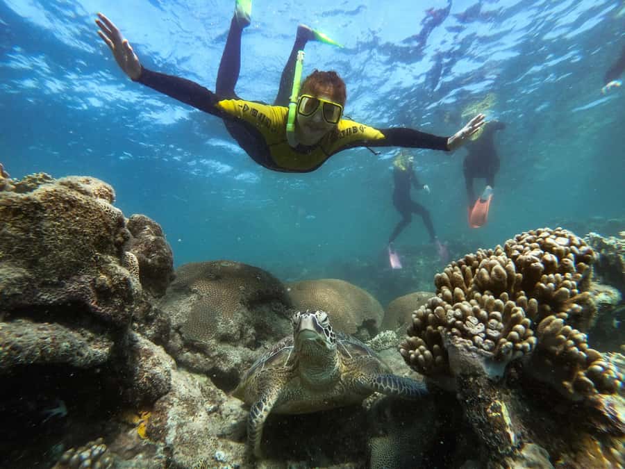 Airlie Beach: Whitsunday Islands Sailing, SUP & Snorkel Tour - Langford Island and the sand cay