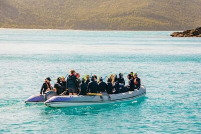 Airlie Beach: Whitsundays Full-Day Camira Sailing Adventure