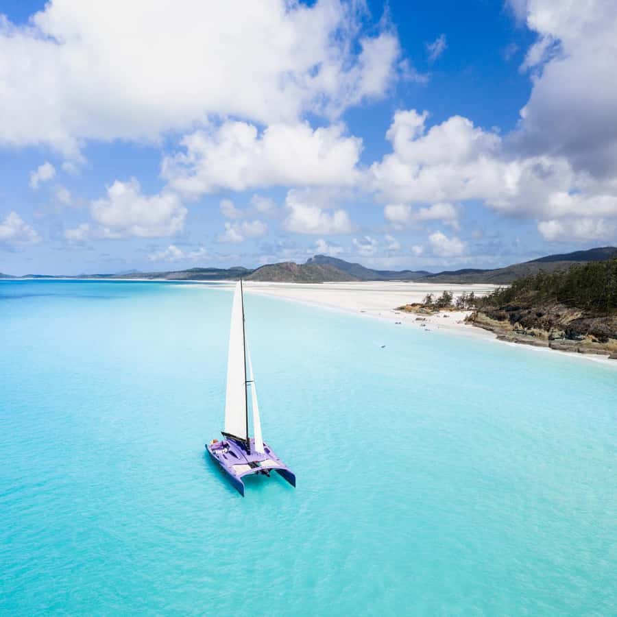 Airlie Beach: Whitsundays Full-Day Camira Sailing Adventure - Sailing home on a fast catamaran