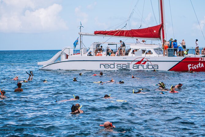 Antilla Shipwreck and Catalina Bay Snorkel Sail - Key points to know before booking