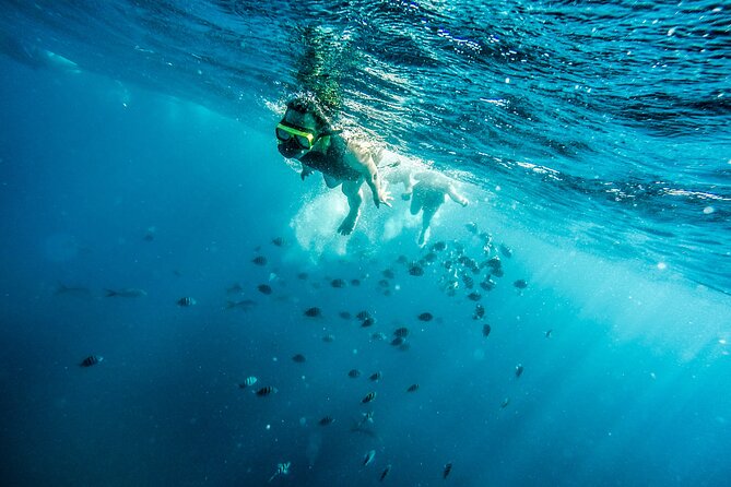Aruba Afternoon Snorkel Sail aboard Palm Pleasure Catamaran - Boca Catalina brings calmer water and more fish