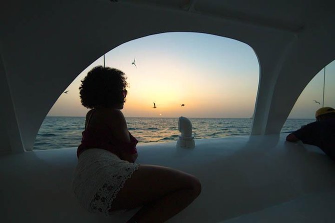 Aruba Sunset Sail Cruise Aboard The Dolphin Catamaran - The north coast views before sunset