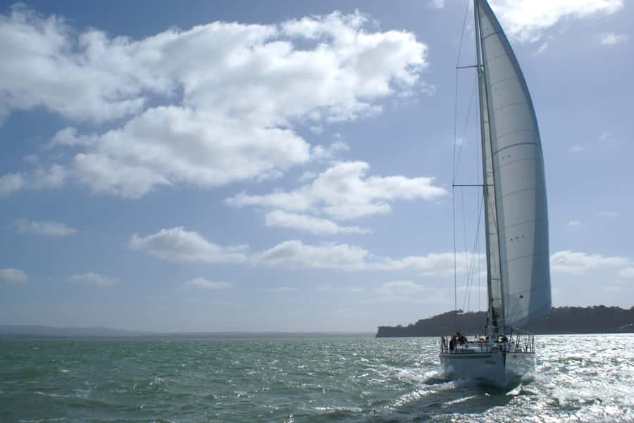 Auckland Harbour 1.5-Hour Sailing Cruise - Is $65 a fair price?