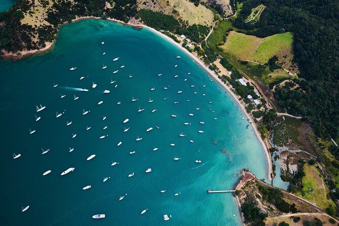 Auckland Harbour Sailboat Cruise Including Three Course Dinner - The crew makes the difference