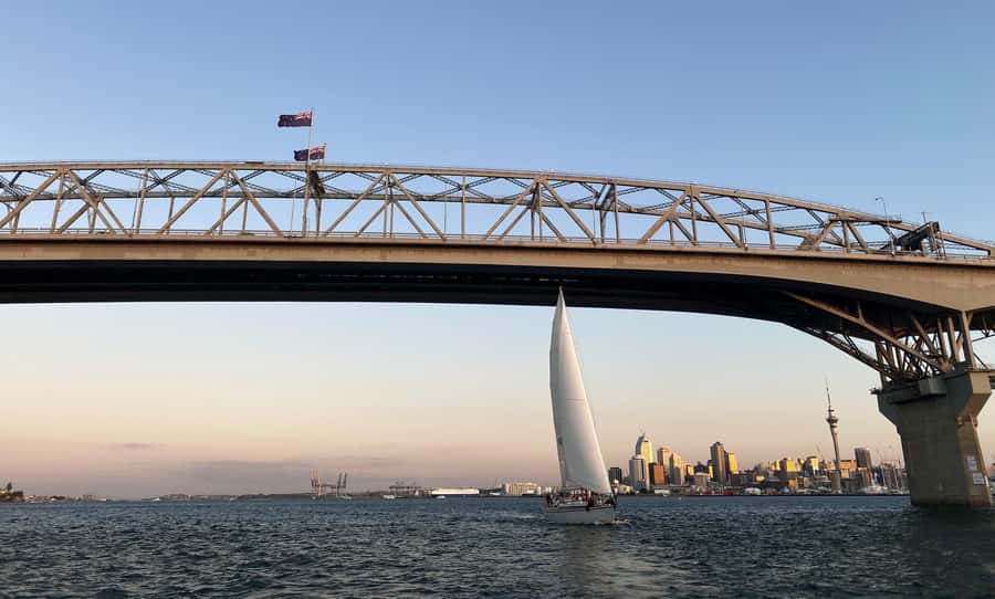 Auckland: Harbour Sailing Cruise with 3-Course Dinner - Setting out from Viaduct Harbour