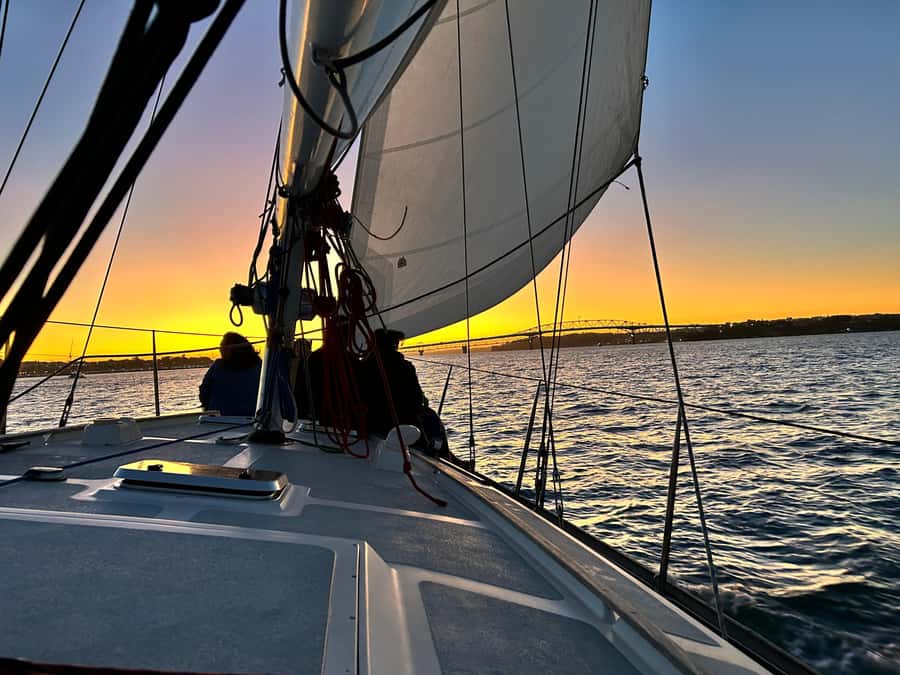 Auckland: Harbour Sailing Cruise with 3-Course Dinner - Auckland views from the water
