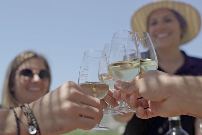 Barcelona Sailing Adventure and Small Group Winery Tasting Tour - What the Port Olimpic Meeting Point Really Requires
