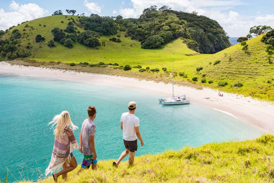 Bay of Islands: Catamaran Sail, Wildlife Island & Lunch - Four hours of sailing from Paihia