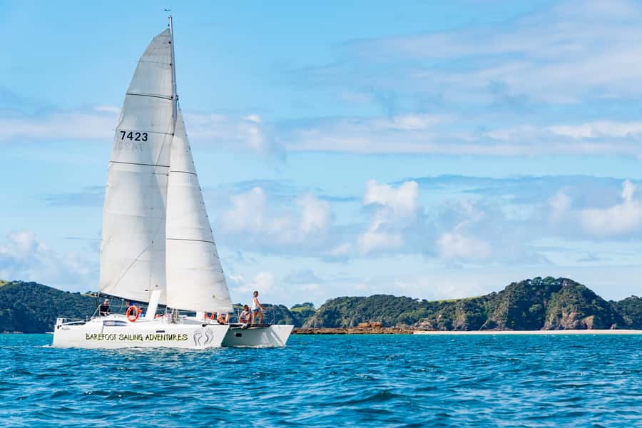 Bay of Islands: Catamaran Sail, Wildlife Island & Lunch - A catamaran built for comfort, not just speed
