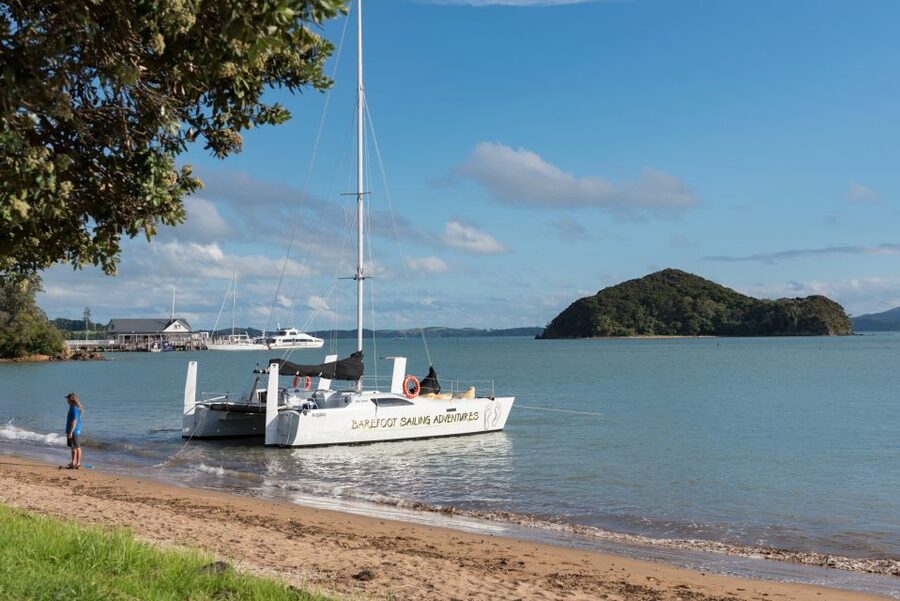 Bay of Islands: Catamaran Sail, Wildlife Island & Lunch - A simple picnic with useful extras