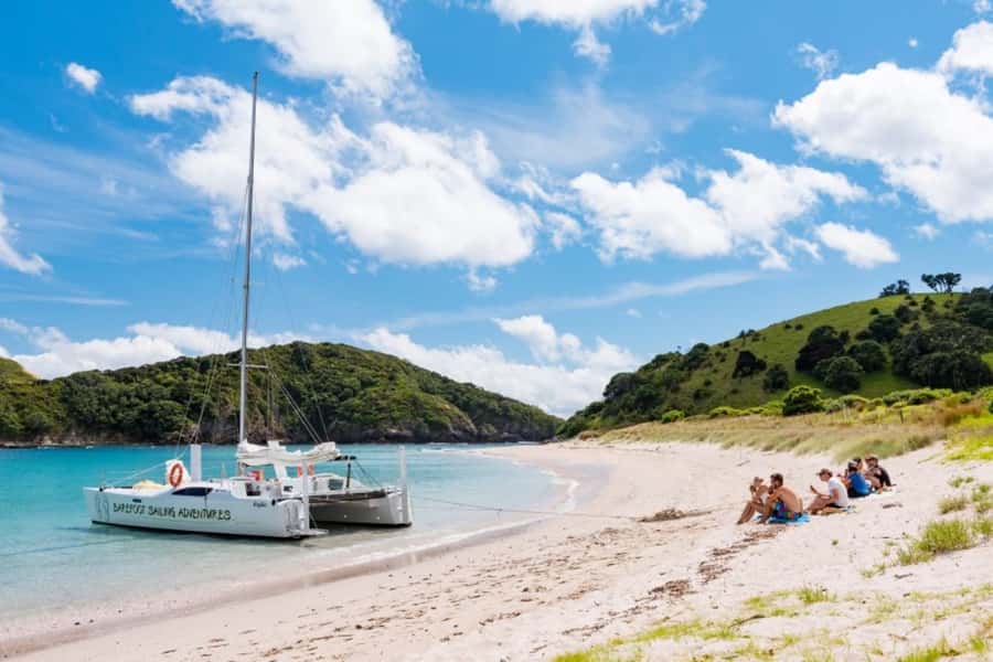 Bay of Islands: Catamaran Sail, Wildlife Island & Lunch - What the $134 price really covers