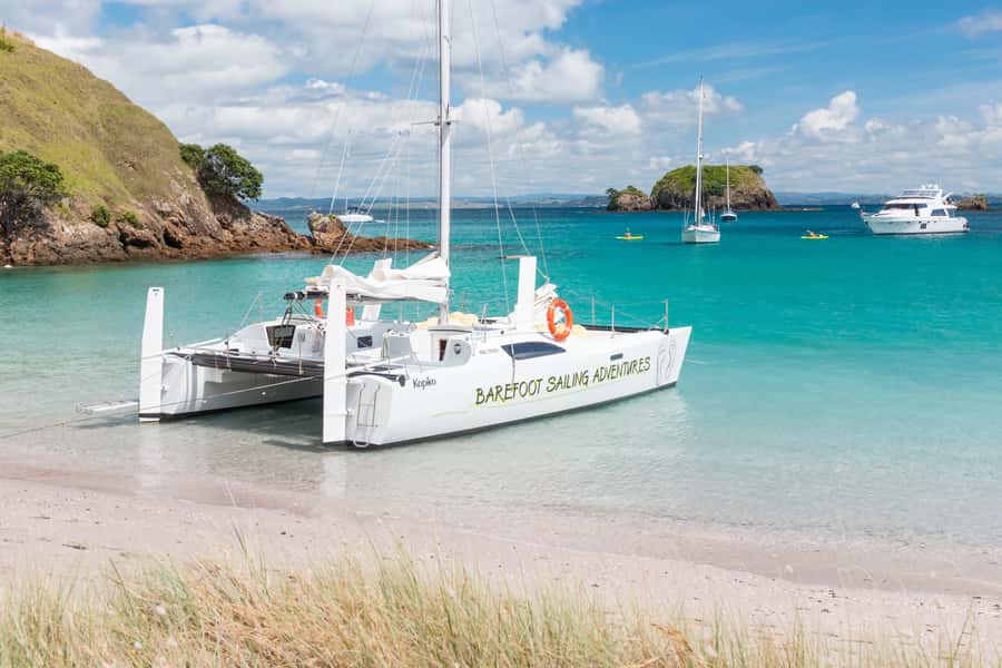 Bay of Islands: Catamaran Sail, Wildlife Island & Lunch - Who should book this sailing day