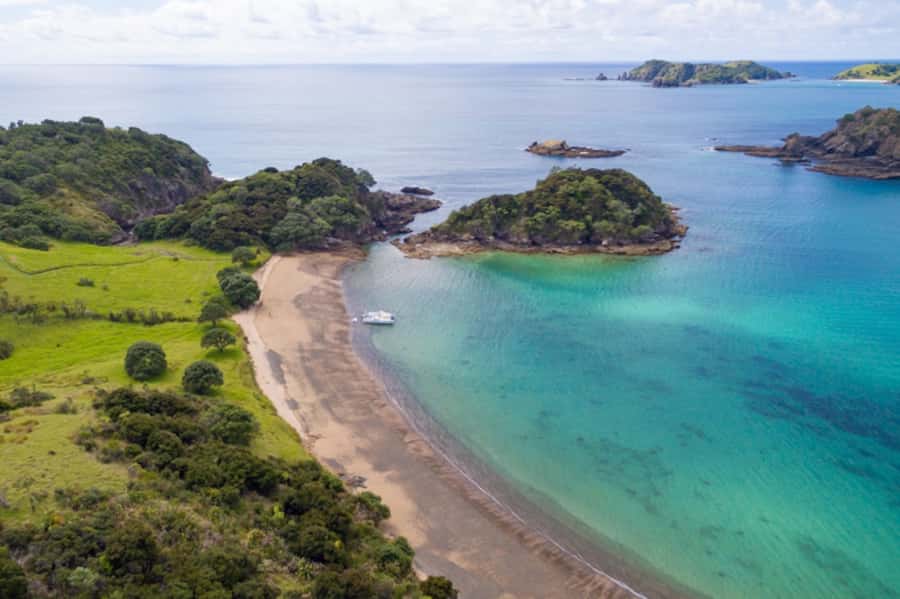 Bay of Islands: Catamaran Sail, Wildlife Island & Lunch - Should you book Barefoot Sailing Adventures?
