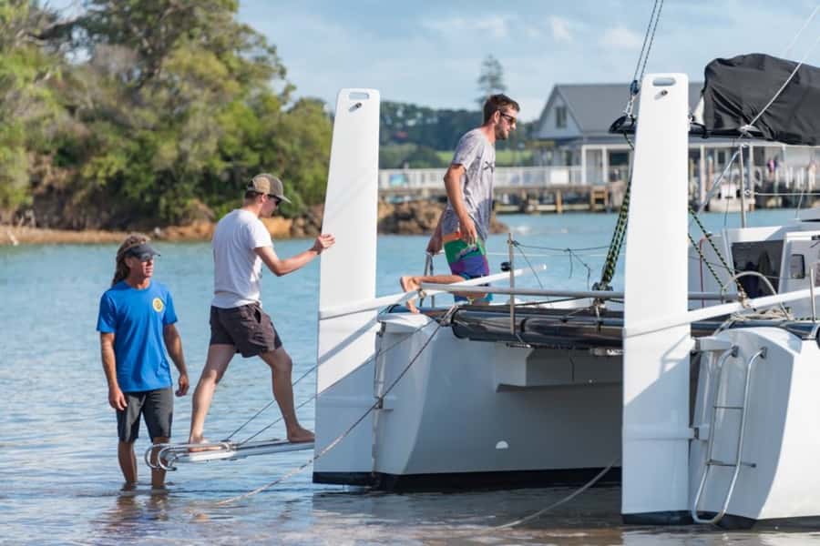 Bay of Islands: Catamaran Sail, Wildlife Island & Lunch - Wildlife across the Bay of Islands