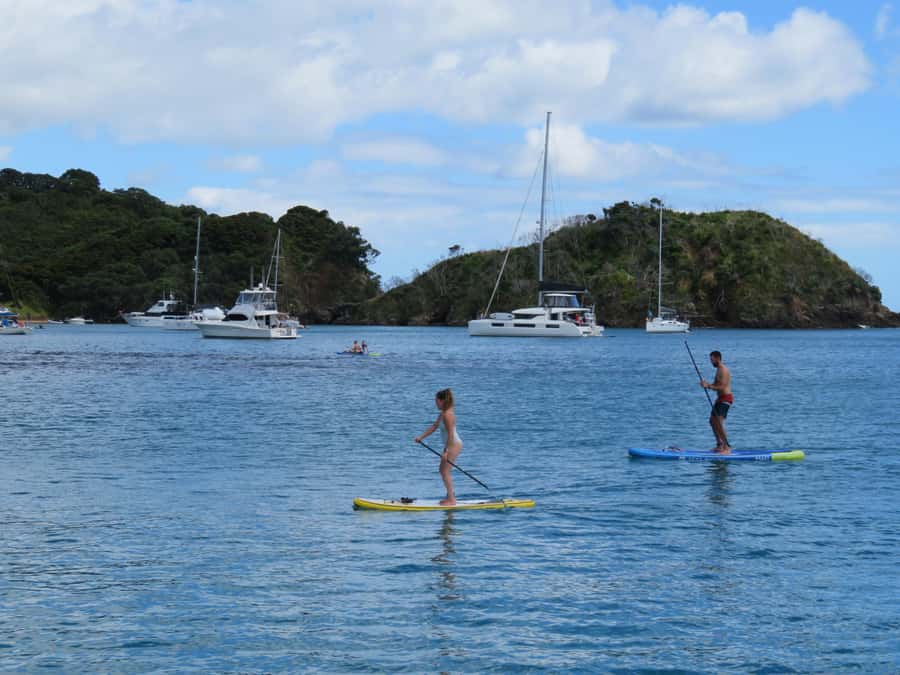 Bay of Islands: Day Sailing Cruise with Island Stop & Lunch - Who should book this cruise?