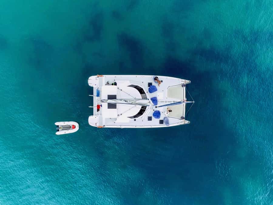 Bay of Islands: Day Sailing Cruise with Island Stop & Lunch - The island stop: two hours with room to choose