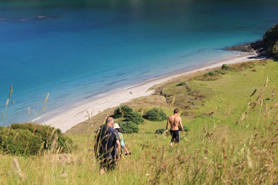 Bay of Islands: Day Sailing Cruise with Island Stop & Lunch - The people make a real difference
