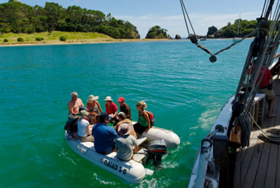 Bay of Islands: Full-Day Tall Ship Sailing Excursion - Who will enjoy this day most?
