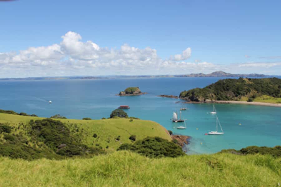 Bay of Islands: Full-Day Tall Ship Sailing Excursion - Should you book the R. Tucker Thompson?