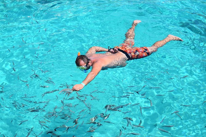 Blue Lagoon, Beaches and Bays Catamaran Sailing Tour - Blue Lagoon gives the day its headline stop