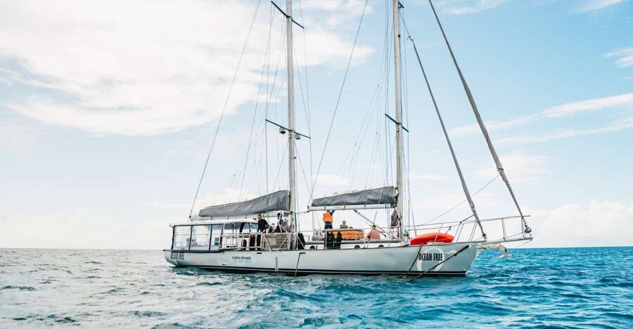 Cairns: Green Island & Great Barrier Reef Sailing Tour - The afternoon return includes a second water session