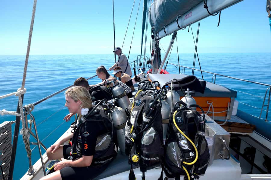 Cairns: Green Island & Great Barrier Reef Sailing Tour - A proper sailing finish with wine and cake