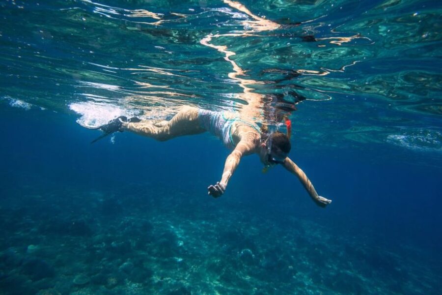Caleta de Fuste: Catamaran Sailing Experience - Pozo Negro Bay, swimming, and snorkeling
