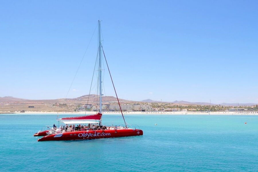 Caleta de Fuste: Catamaran Sailing Experience - The included bar and onboard comfort