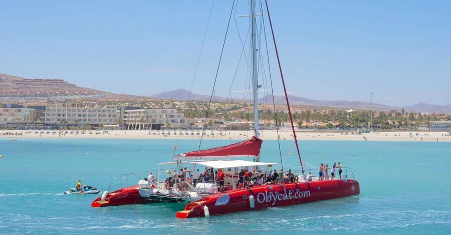 Caleta de Fuste: Catamaran Sailing Experience - The coastal sail and your chance of seeing wildlife