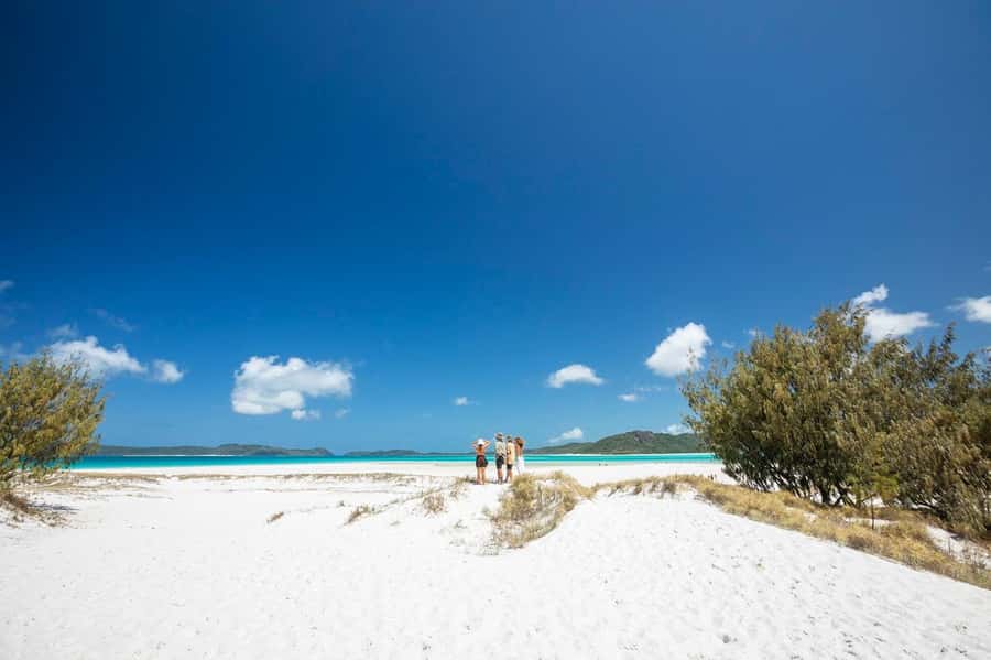 Camira Sunset Sail -Drinks & Snacks -Departing Airlie Beach - Who should book this sunset sail?