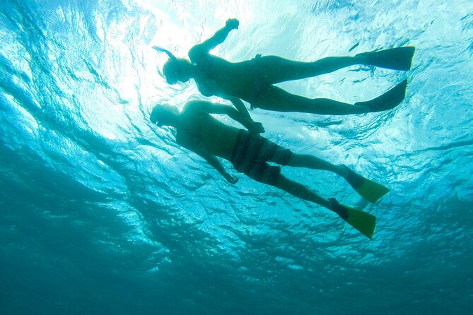 Deluxe Half-Day Snorkel Sail on Lady Grace Luxury Catamaran - Who will enjoy this half-day sail most