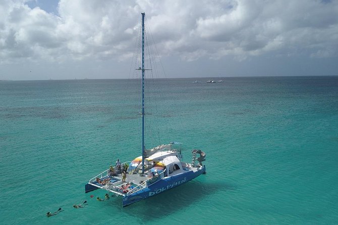 Dolphin Catamaran Snorkel and Sail with Open Bar - The rope swing and spinning slide are not side notes