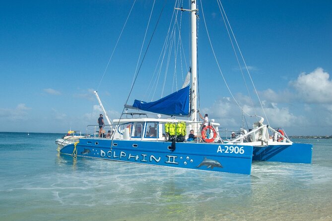 Dolphin Catamaran Snorkel and Sail with Open Bar - Who should book this Aruba catamaran cruise?