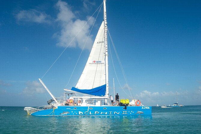 Dolphin Catamaran Snorkel and Sail with Open Bar - What snorkeling is really like at the two stops