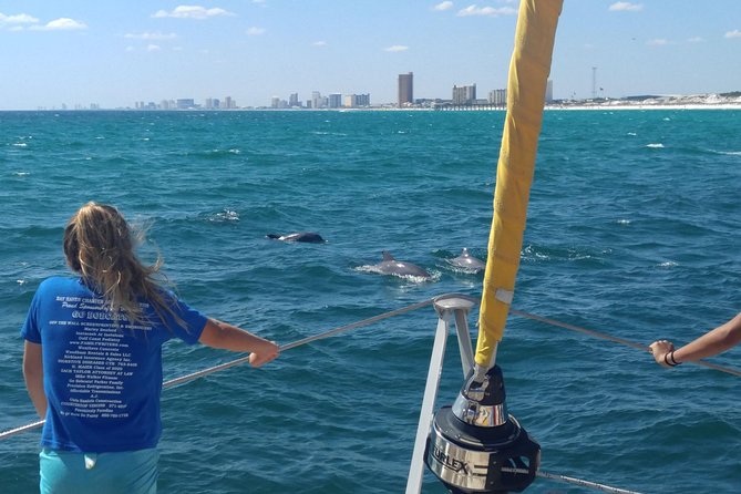 Dolphin Sightseeing on the Privateer Catamaran - Key points at a glance